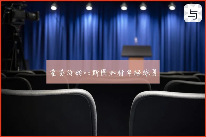 霍芬海姆vs斯图加特年轻球员