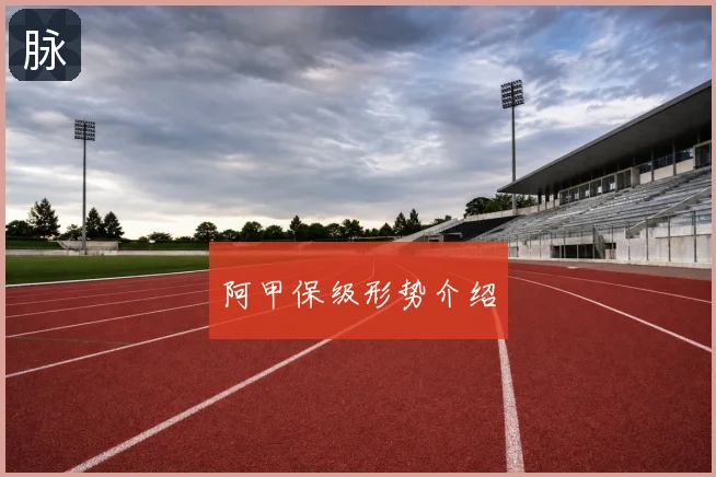 阿甲保级形势介绍